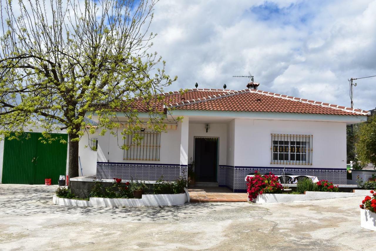 Casa Rural Alejo 马拉加 外观 照片